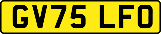 GV75LFO