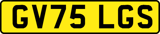 GV75LGS