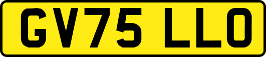 GV75LLO