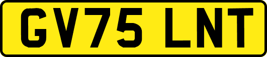 GV75LNT