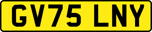 GV75LNY