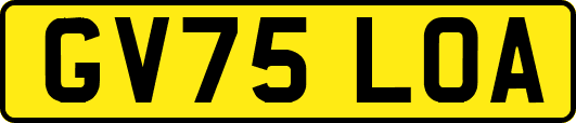 GV75LOA