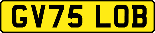 GV75LOB