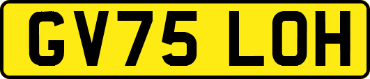 GV75LOH