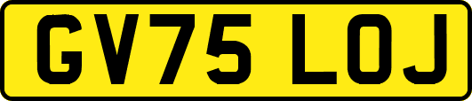 GV75LOJ