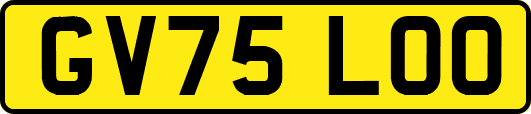 GV75LOO