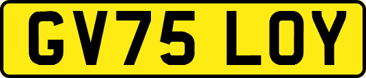 GV75LOY