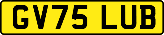 GV75LUB