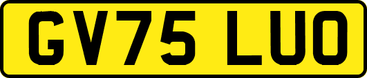 GV75LUO