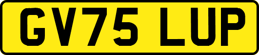 GV75LUP