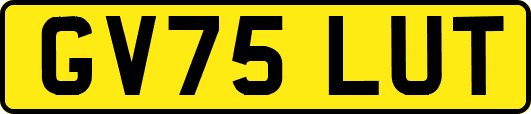 GV75LUT