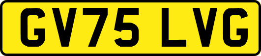 GV75LVG