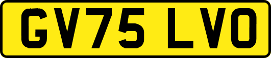 GV75LVO