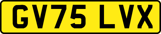 GV75LVX