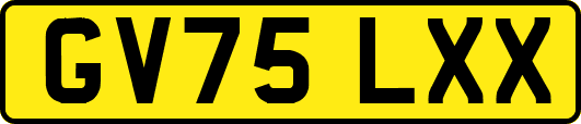 GV75LXX