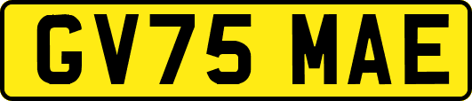 GV75MAE