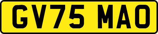 GV75MAO