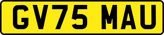 GV75MAU