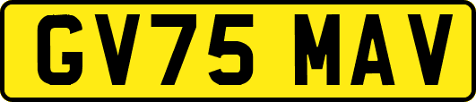 GV75MAV