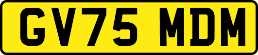 GV75MDM