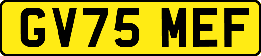 GV75MEF