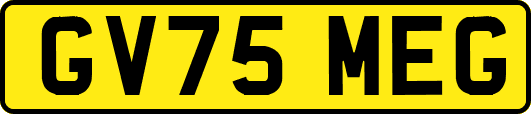GV75MEG