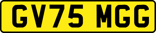 GV75MGG