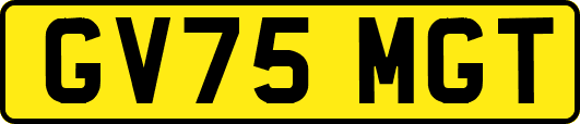 GV75MGT