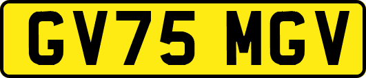 GV75MGV