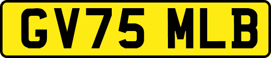 GV75MLB