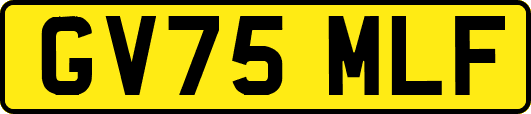 GV75MLF