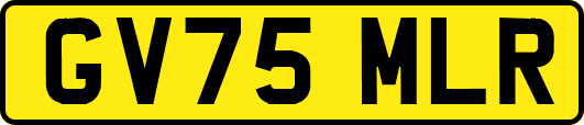 GV75MLR