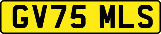 GV75MLS