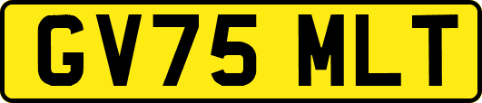 GV75MLT