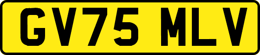 GV75MLV