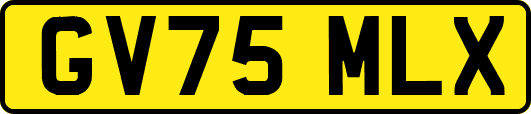 GV75MLX