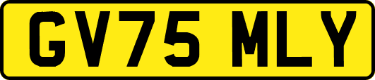 GV75MLY