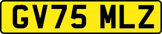 GV75MLZ
