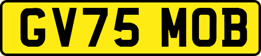 GV75MOB