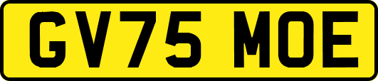 GV75MOE