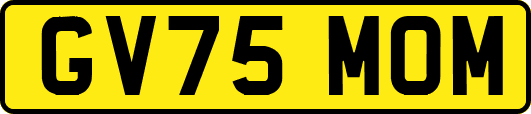 GV75MOM