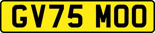 GV75MOO