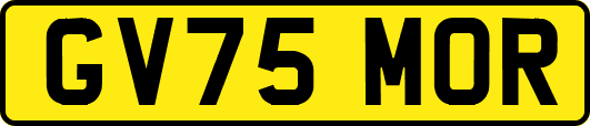 GV75MOR