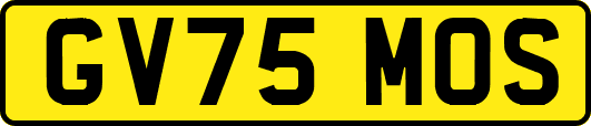 GV75MOS