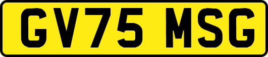GV75MSG