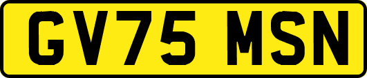 GV75MSN