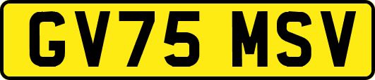 GV75MSV