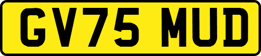 GV75MUD