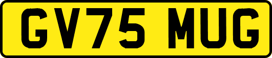 GV75MUG