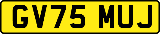 GV75MUJ